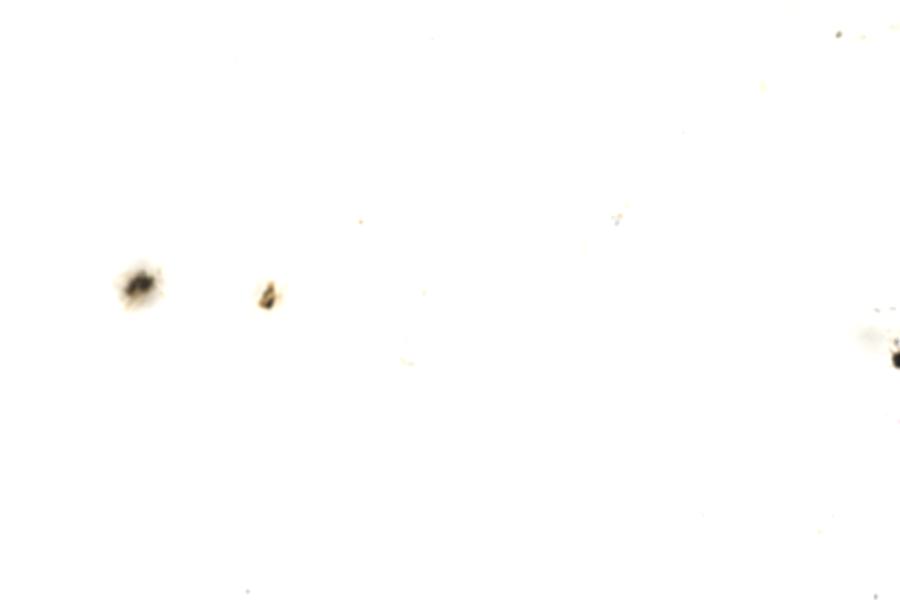 Image 76